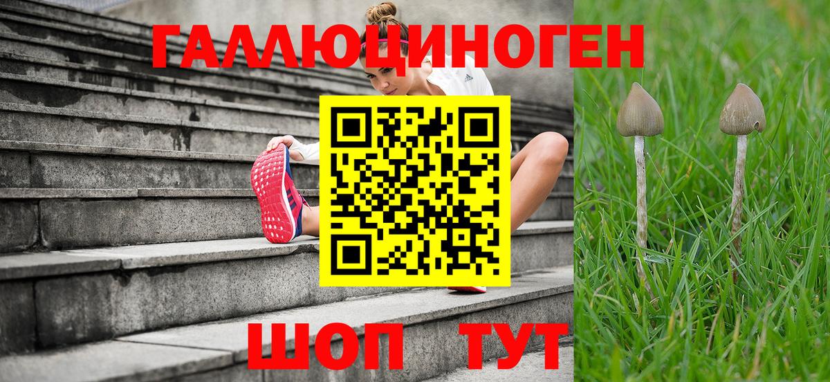 ГАШИШ  Cocaine  Вход с VPN  Россия  Купить закладку  Меф МЯУ МЯУ кристаллы  Метамфетамин  Каннабис  A PVP СОЛЬ  