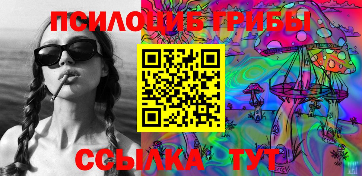 Галлюциногенные грибы GOLDEN TEACHER  Вход с VPN  Россия 